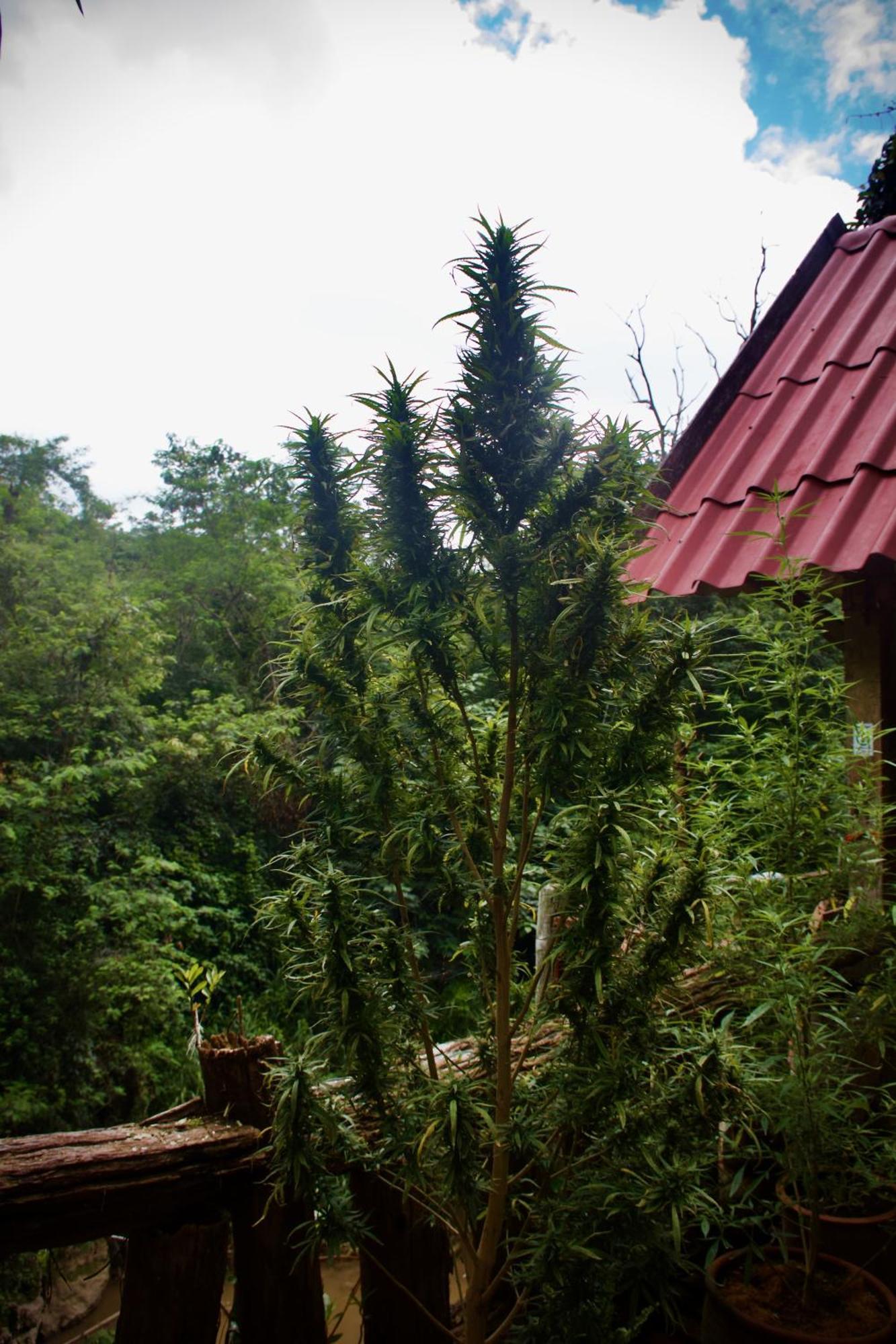 Aerie Lodge Pang Mapha Bagian luar foto
