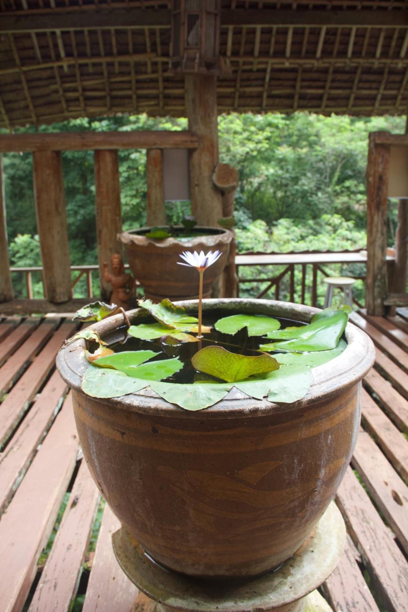 Aerie Lodge Pang Mapha Bagian luar foto