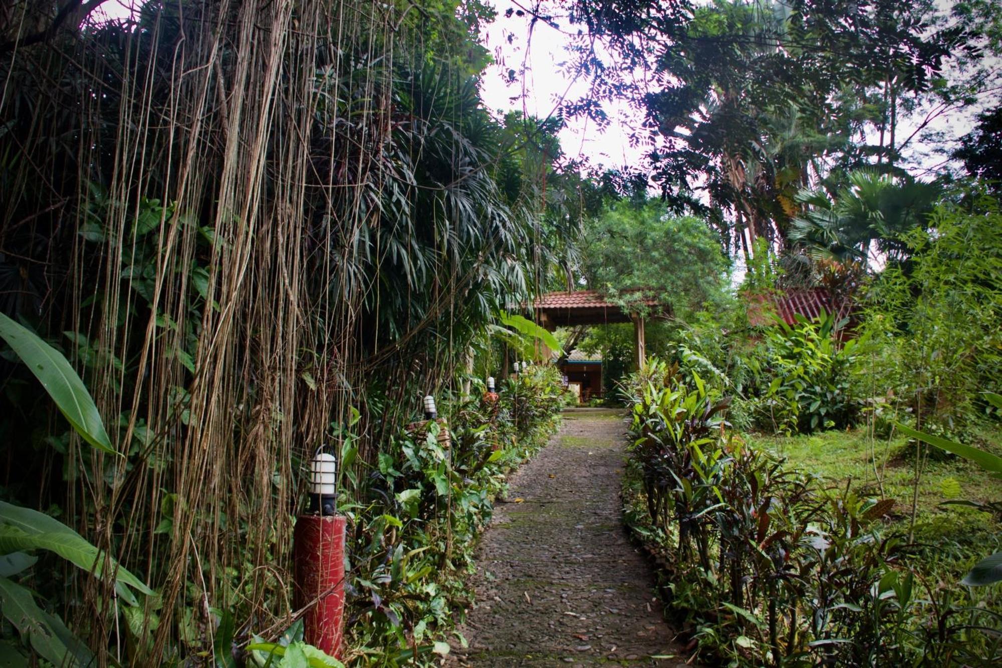 Aerie Lodge Pang Mapha Bagian luar foto