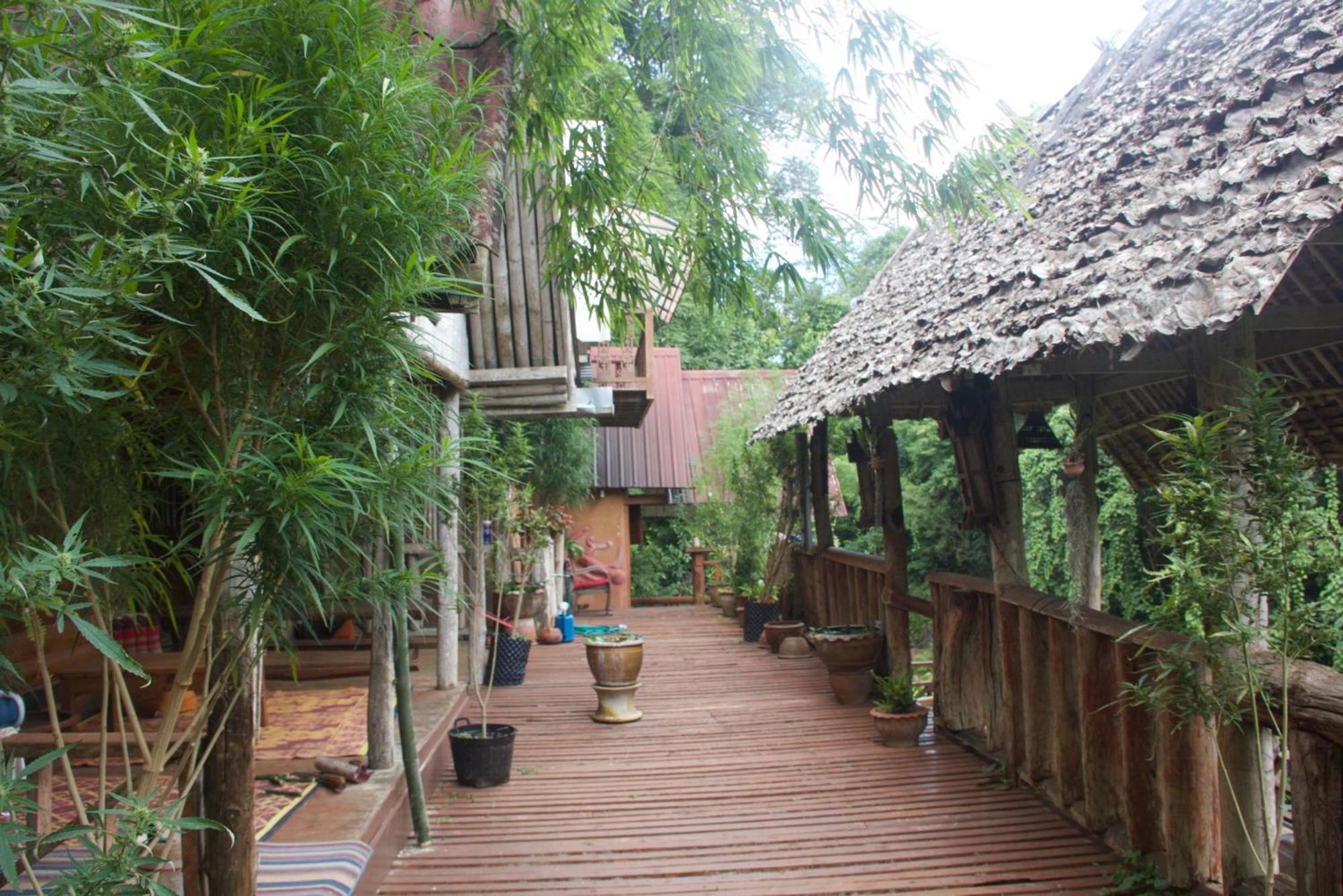 Aerie Lodge Pang Mapha Bagian luar foto